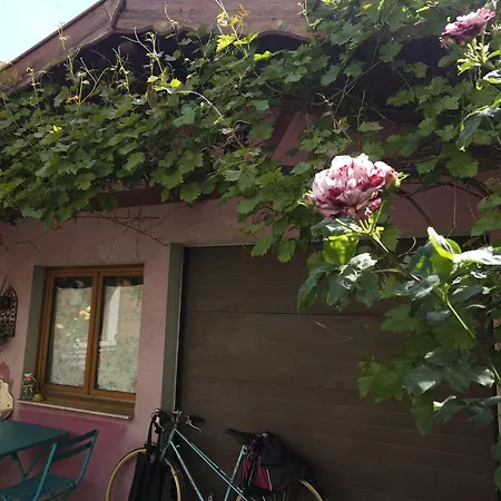 Apartment Petit Paradis Croneuva Strasbourg