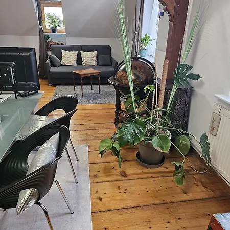 Petit Paradis Croneuva Estrasburgo