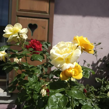 Petit Paradis Croneuva Apartment Strasbourg