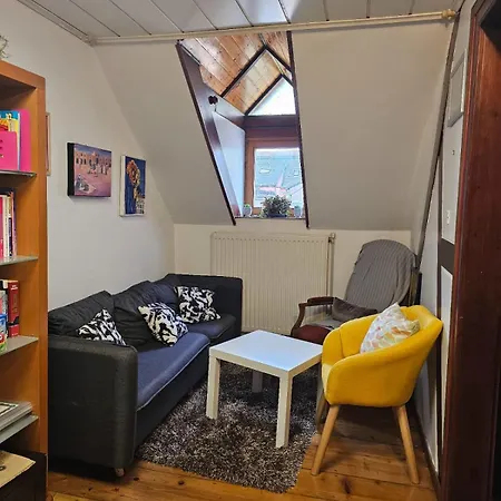 Petit Paradis Croneuva Estrasburgo